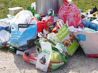 Müll sammeln am Umwelttag © Pixabay