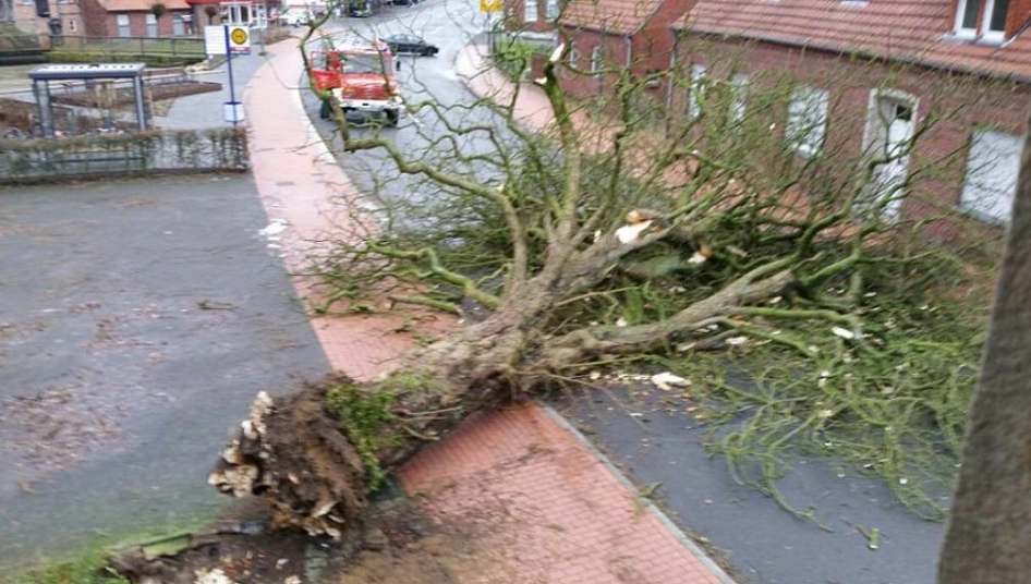 Umgestürzter Baum an der Gaststätte Nonhoff in Nienborg © Gemeinde Heek